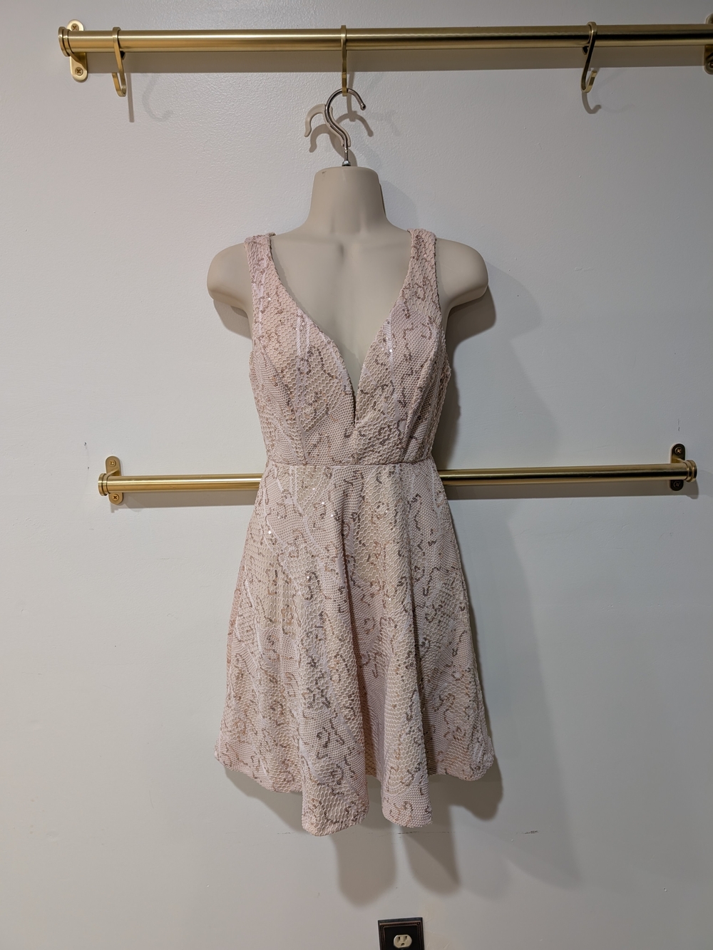bailey blue Blush Pink Lace A-Line Mini Dress